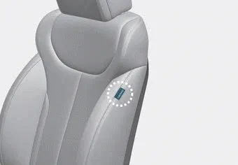 Hyundai Palisade. Side air bags